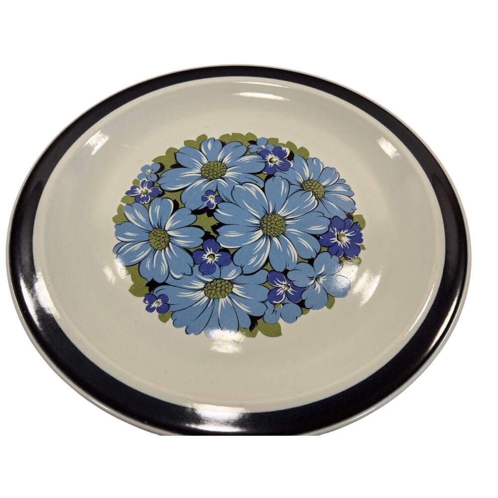 Designers Collection Blue Shasta Dinner Plate Hand Decorated Stoneware Japan MCM